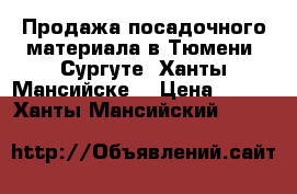 Продажа посадочного материала,в Тюмени, Сургуте, Ханты-Мансийске. › Цена ­ 120 - Ханты-Мансийский  »    